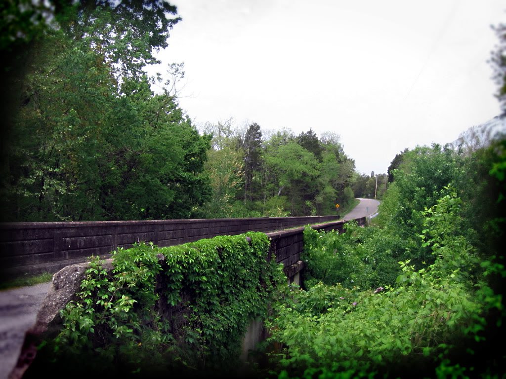 One_Lane_Bridge GC_2743H - N 35 35.825 W086 57.542