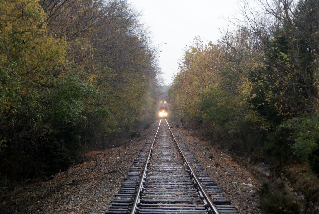On The Tracks