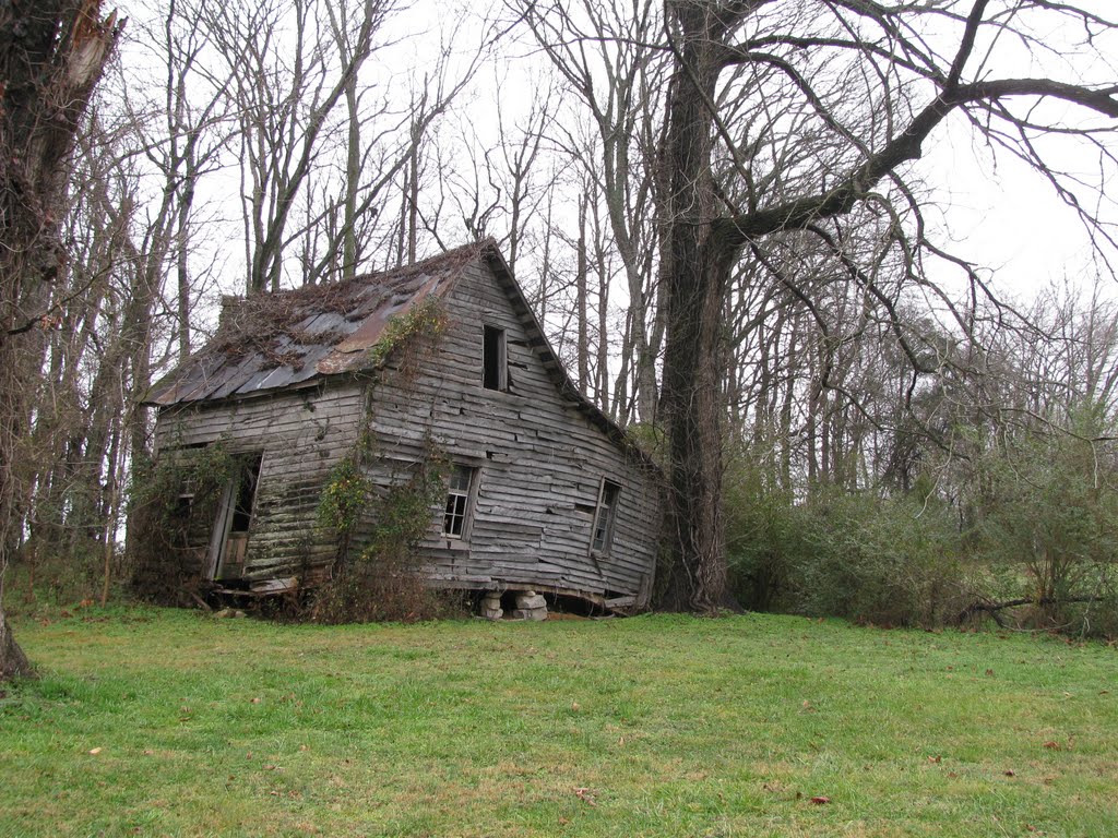 Exasperated Tail Dragging ol house