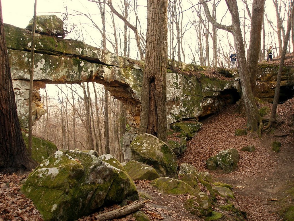 The Natural Bridge