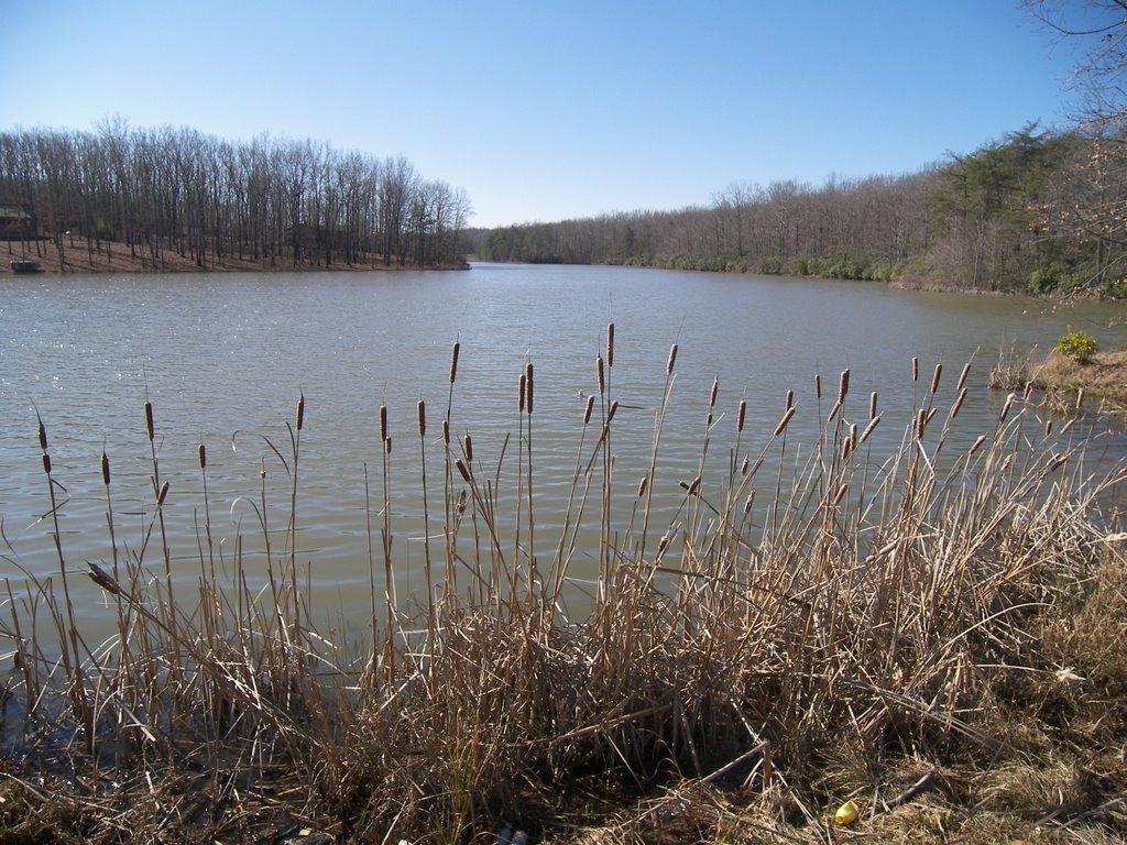 GrundyLife - Laurel Lake