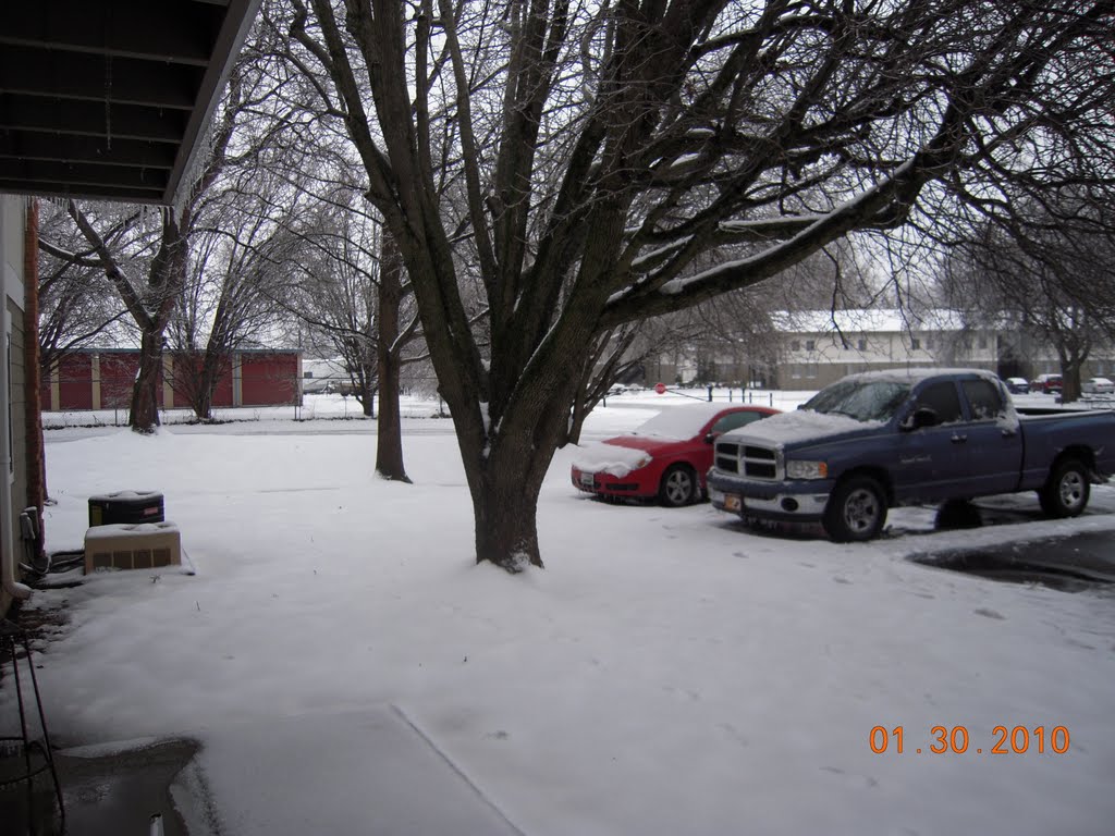 NEVADA, MURFREESBORO, TN.