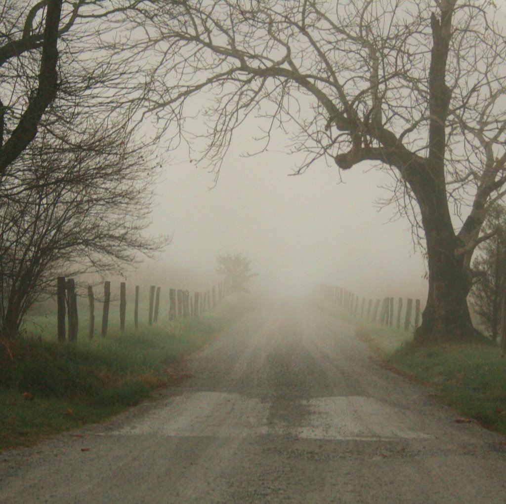 Road to Nowhere