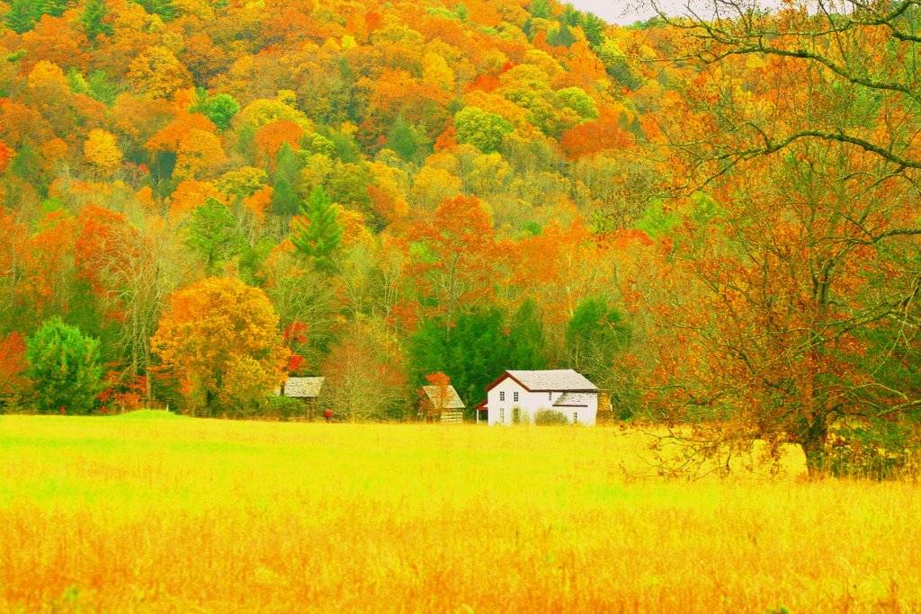Mountain Farm
