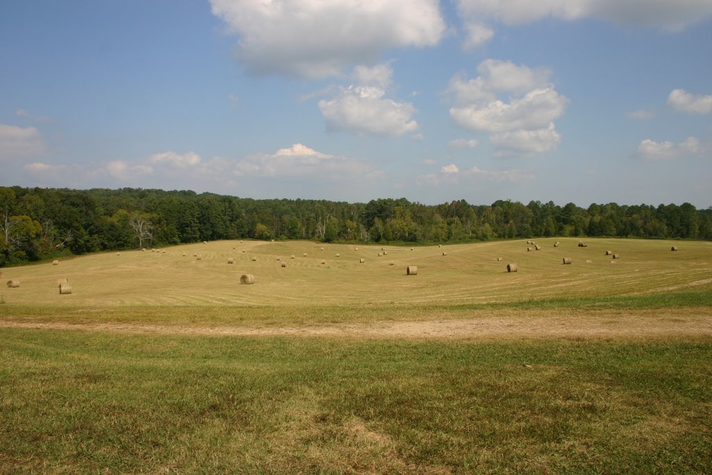 Chicamauga Battlefield in Georgia