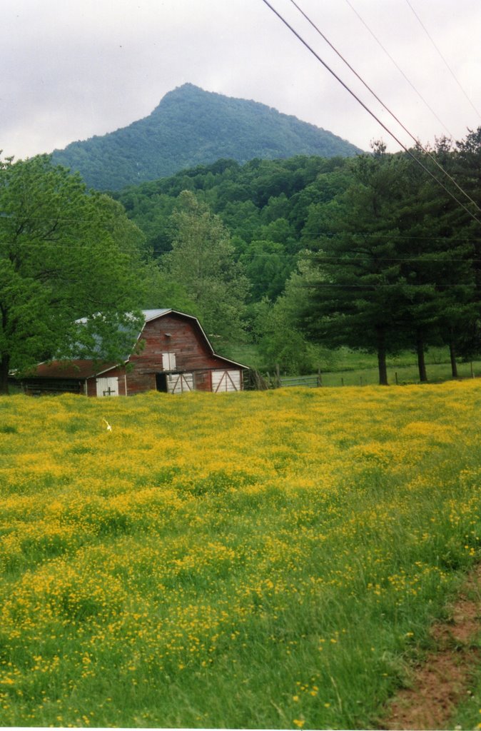 Bell Mountain