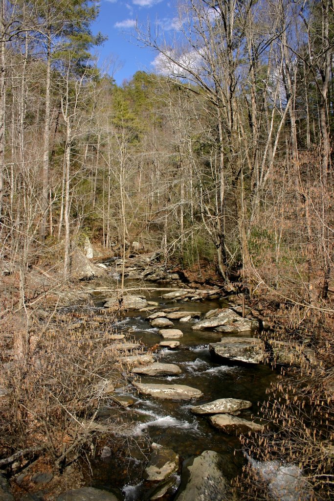 Turkey Creek