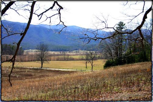 Cades Cove from the Big Tree, Tennessee