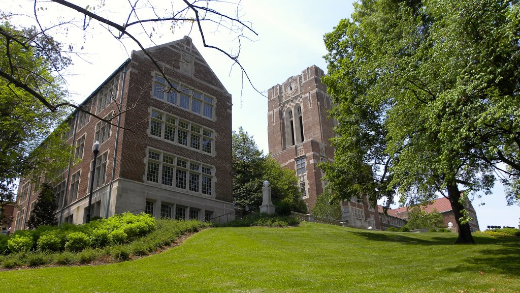 Department of Mathematics - Knoxville TN