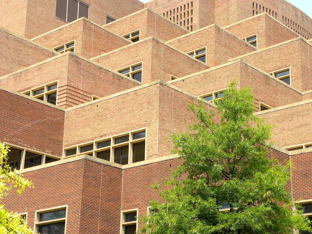 John C. Hodges Library - Knoxville TN