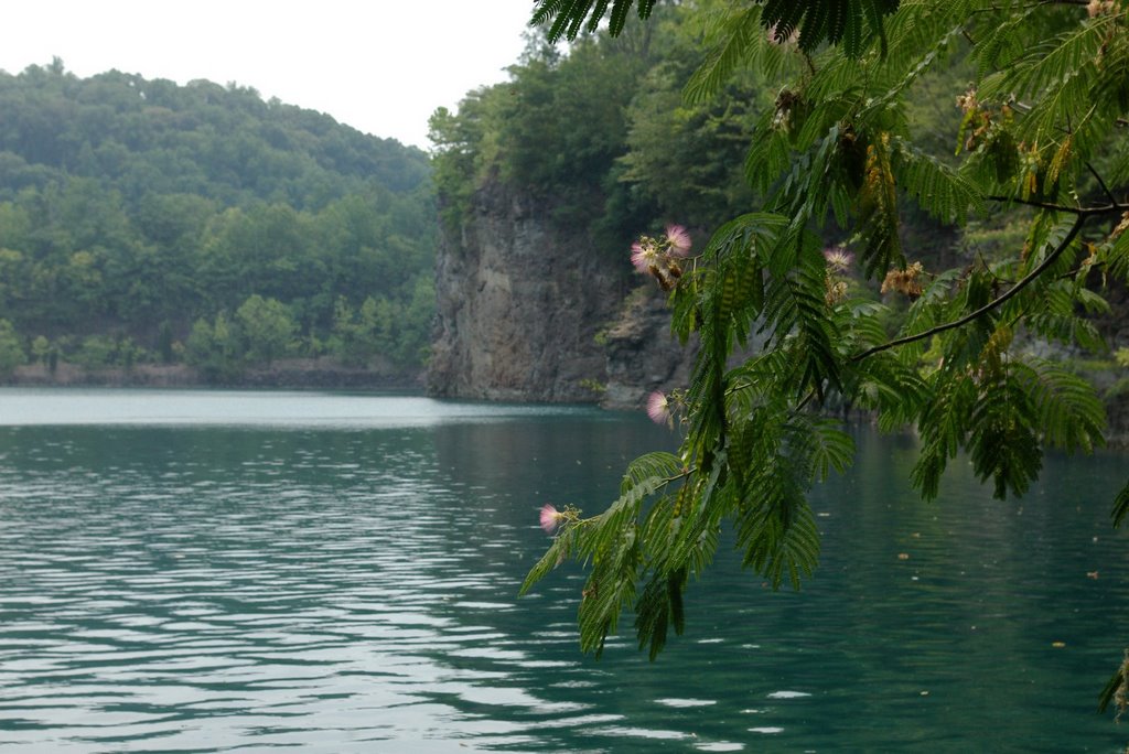 Blount Quarry, Knoxville