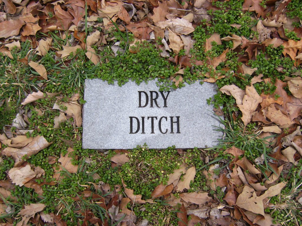 Dry Ditch at Fort Dickerson Park