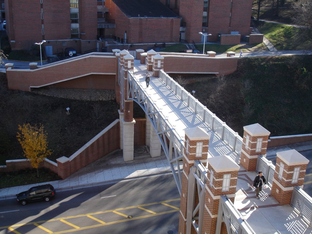 Pedestrian Bridge