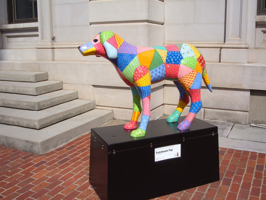 Patchwork Pup