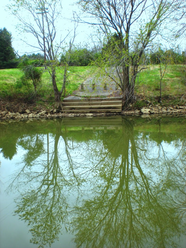 Steps into the Duck River