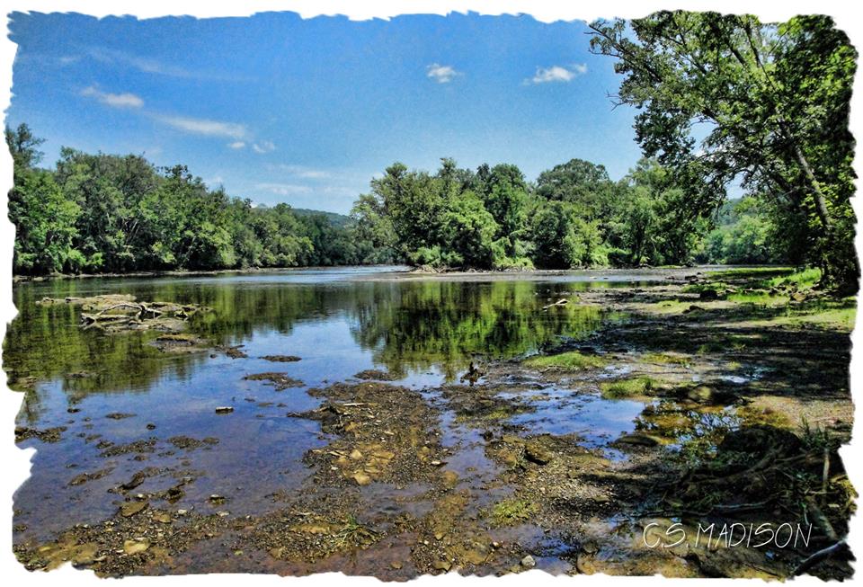 "Bright Spirits" Clinch River, TN (Norris Dam)