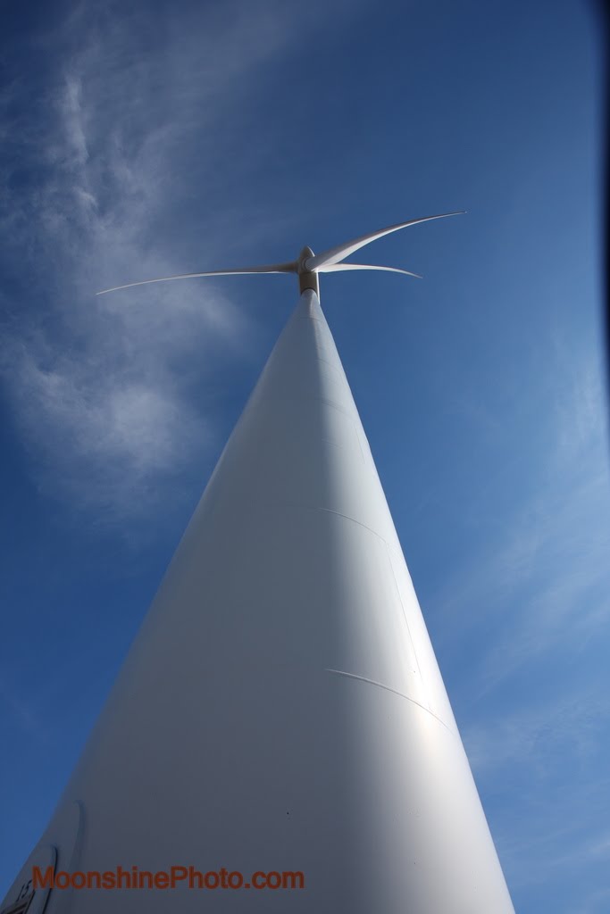 Buffalo Mountain Wind Farm