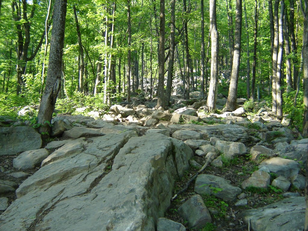 Lower Rattlerock