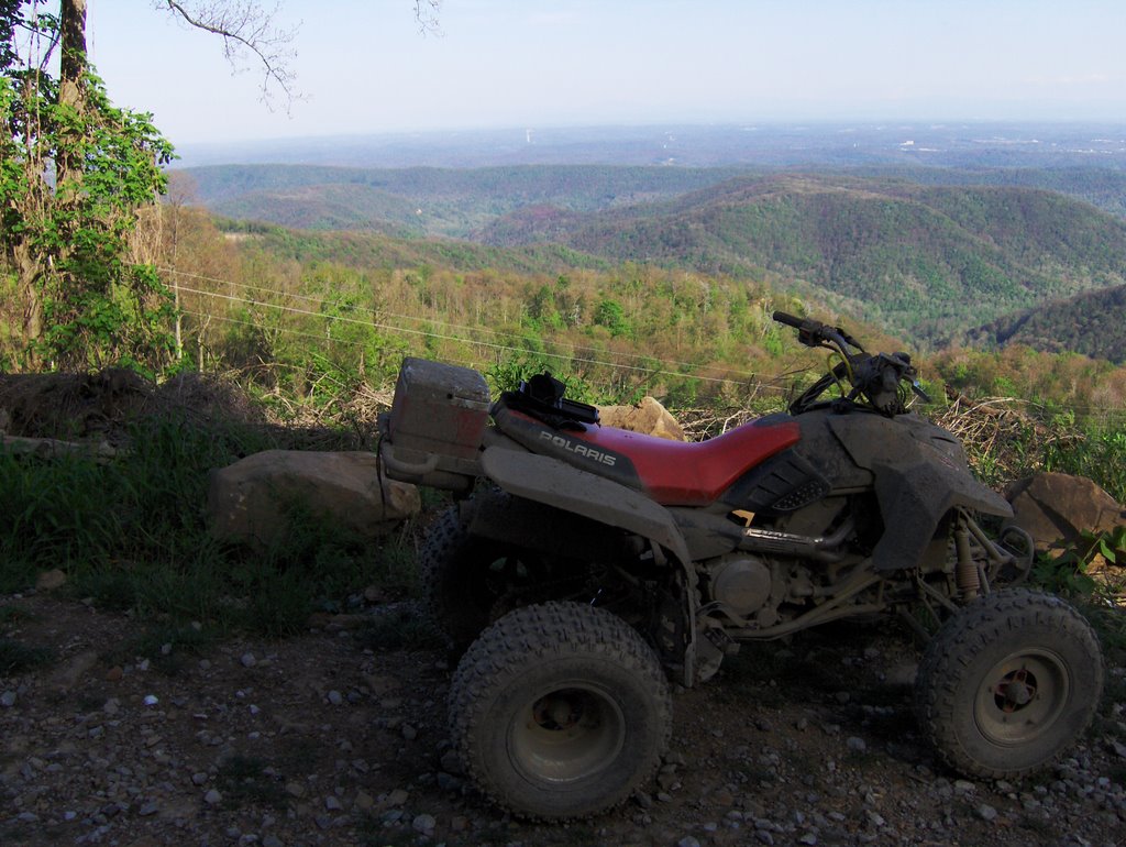 view