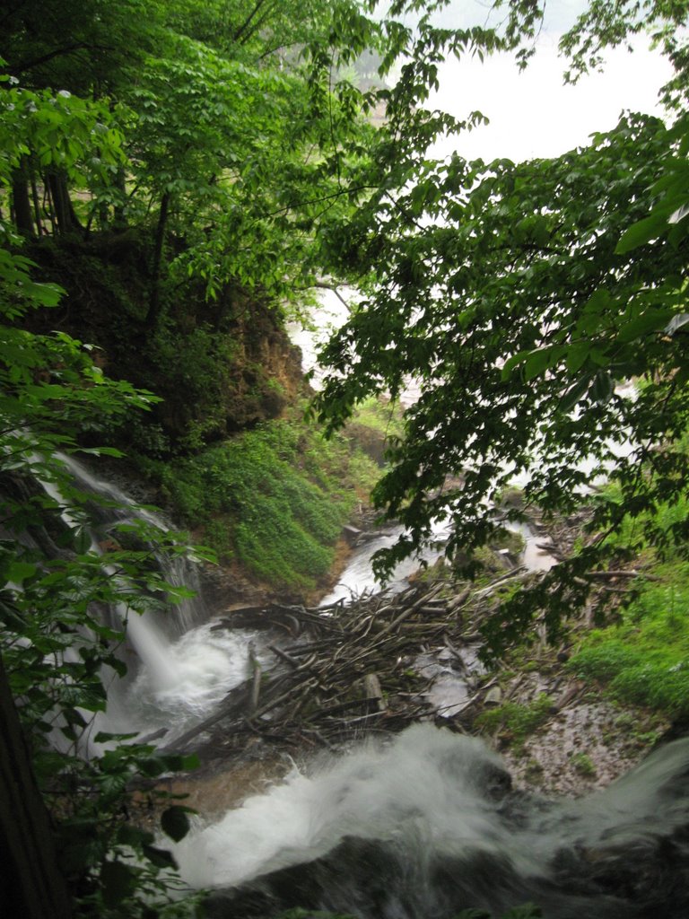 Somerset
