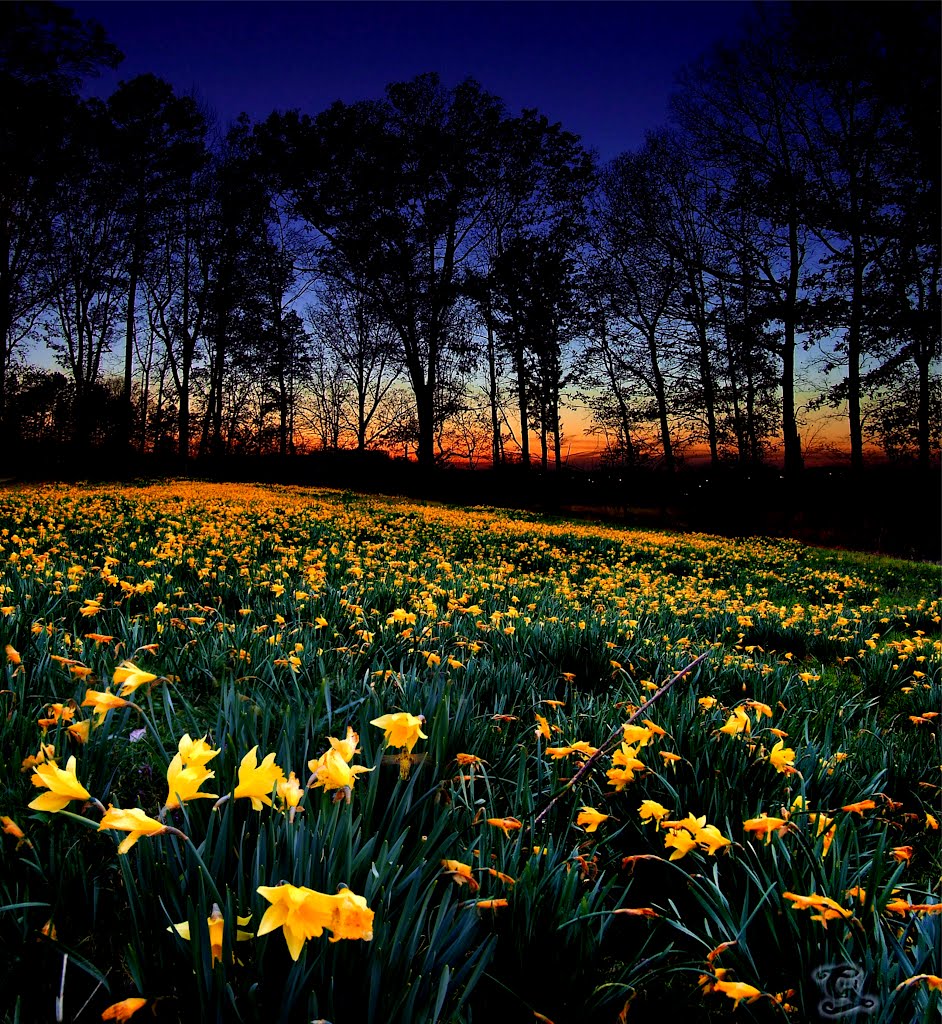 Spring has Sprung in Kentucky
