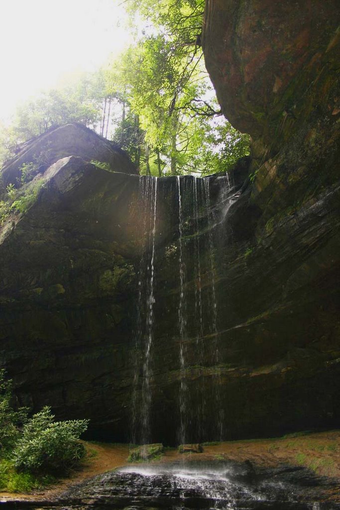 Northrup Falls in Colditz Cove near Allardt, TN