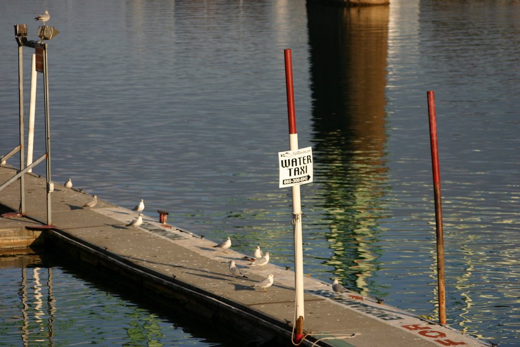 Waiting for the Water Taxi at Calhouns on the River in Knoxville