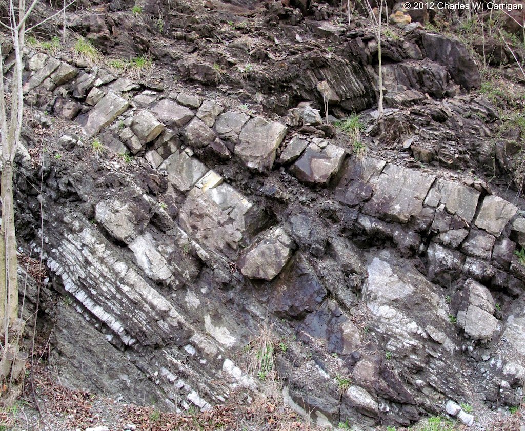 Copper Creek Fault along I-75, duplex structure.