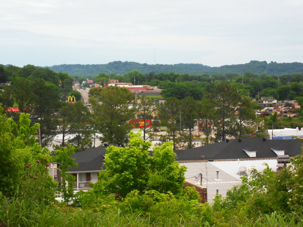 Pulaski