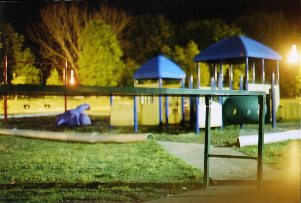 the park at night
