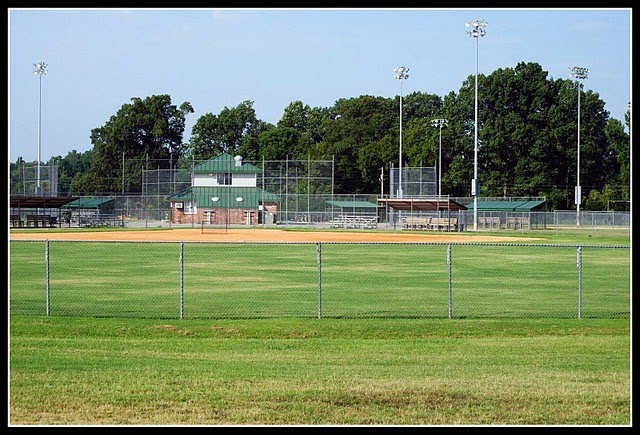 Ball Park
