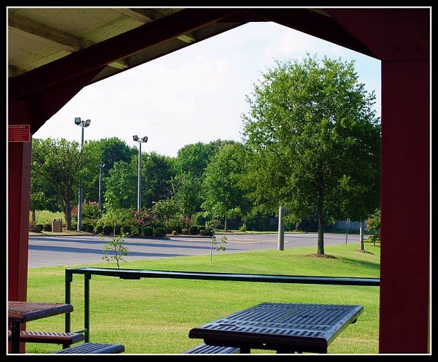 Parking Area