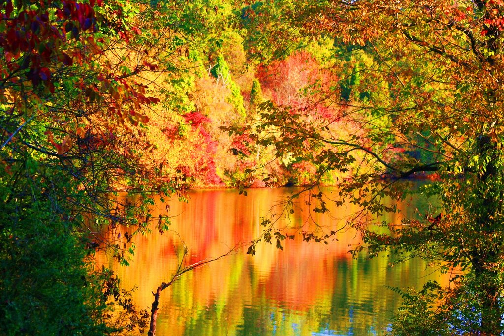 Fire Water