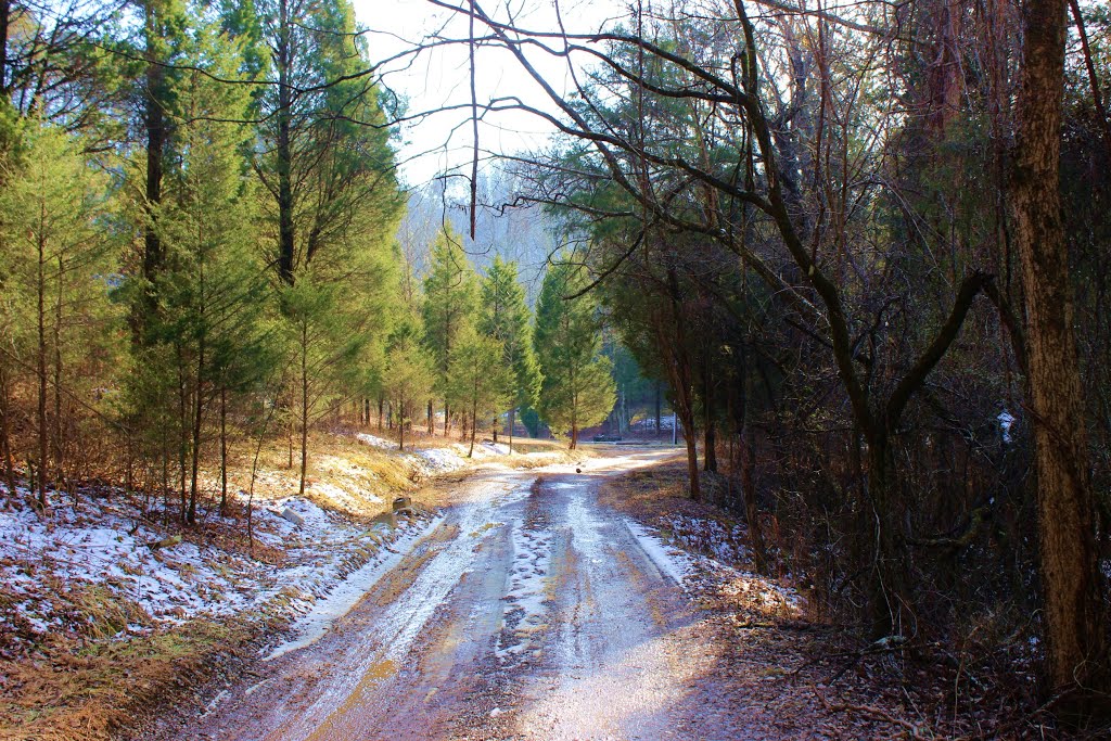 Mountain road in Cedar Valley