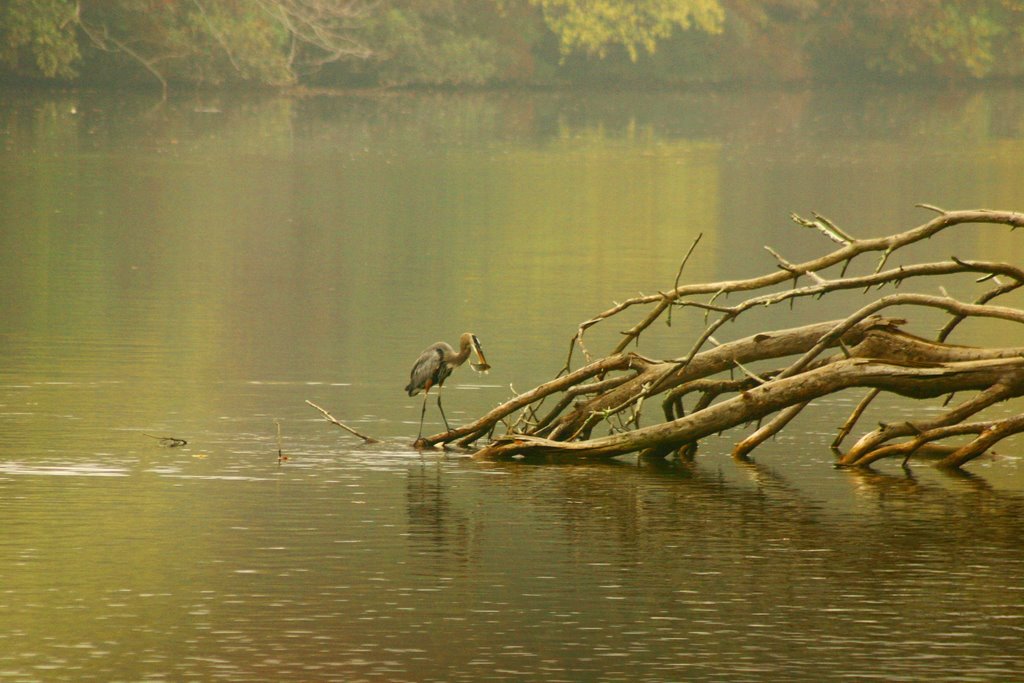 Fishing