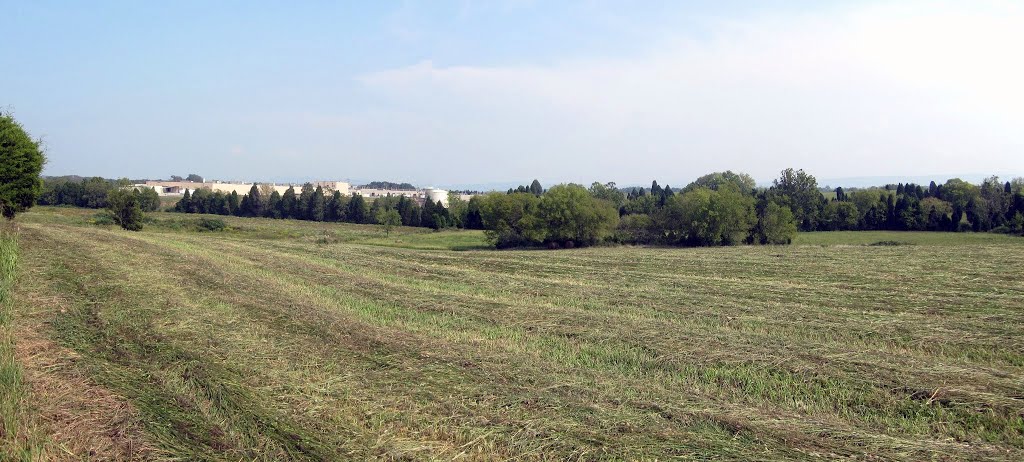 Russell Farm