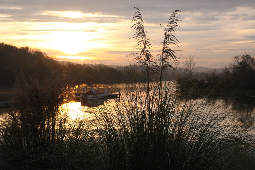 Dawn on the Flatwater section of the Clinch River, Kirkstall, TN