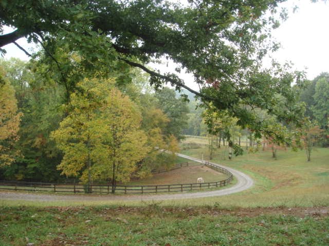 Our Farm