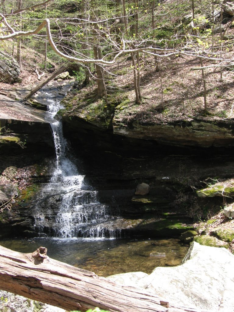 Waterfall near Morgans Steep