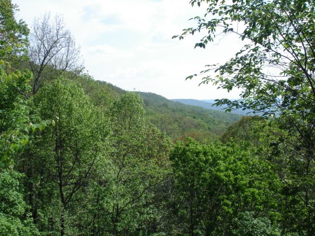 Morgans Steep, Sewanee, TN