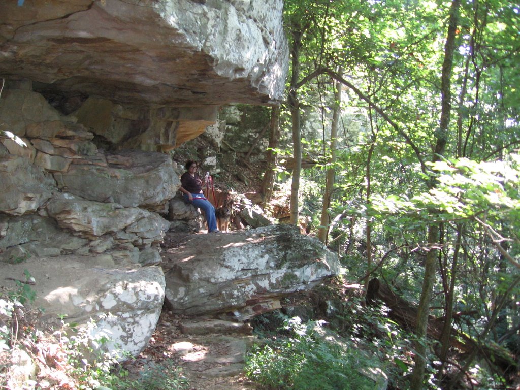 Rocks on the premiter Trial