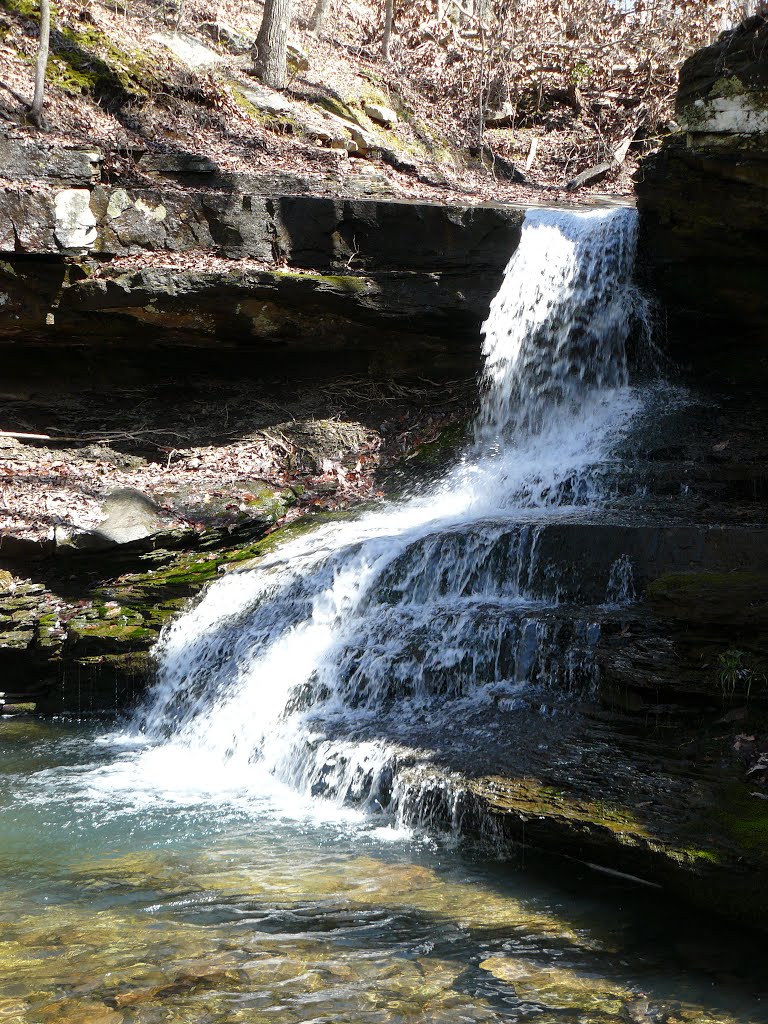 Morgans Falls