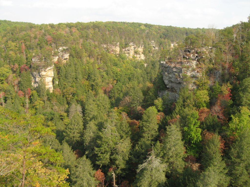 Cane Creek Gorge