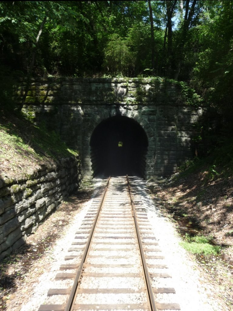 Thru the tunnel