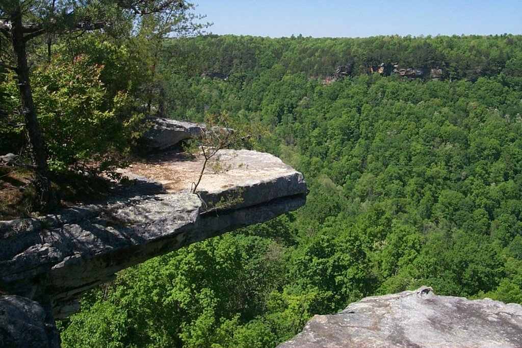 Stone Door Bluff near Beersheba Springs, Tennessee