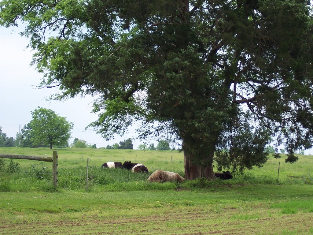 Nashville- TN- The Hermitage- Home Of Andrew Jackson- Quiet We Are Sleeping!