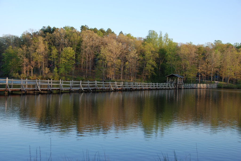 Chickasaw Reflections