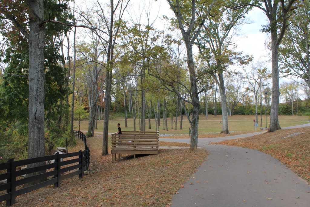 Gregory Mill Park 22