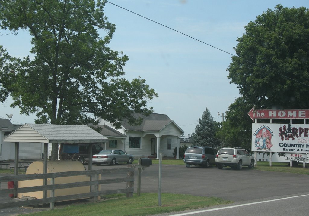 Happy pigs on a sign