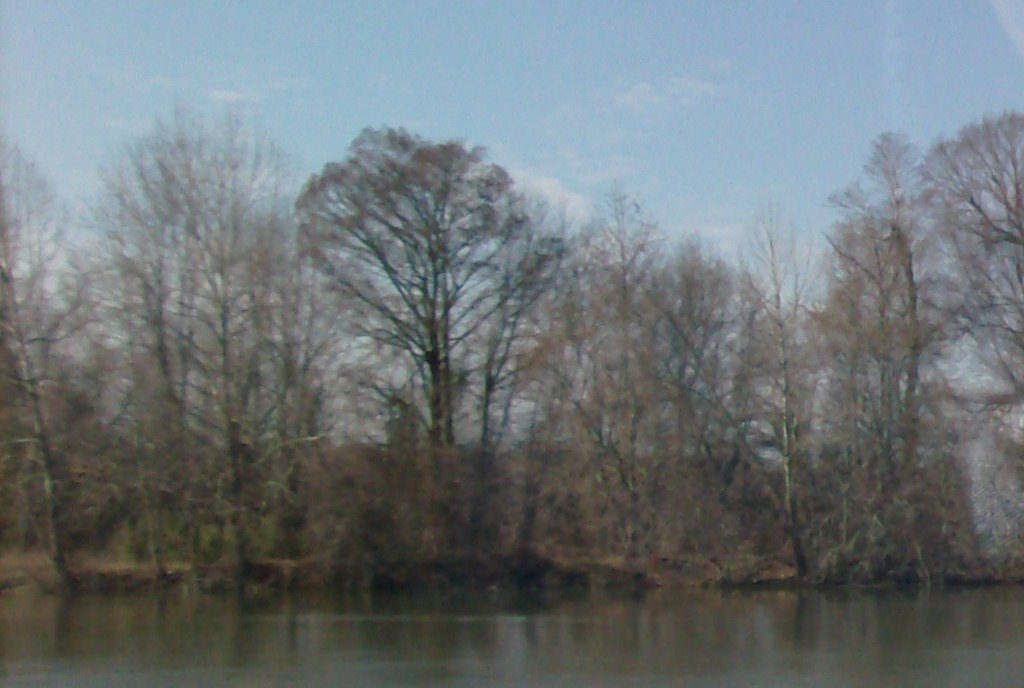 Hatchie River